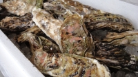 DSC01523.JPG