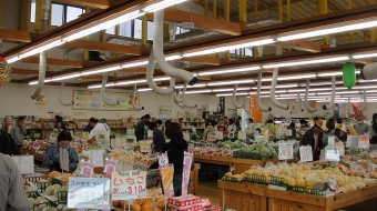 JAめぐみの.jpg