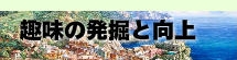 趣味と発掘と向上